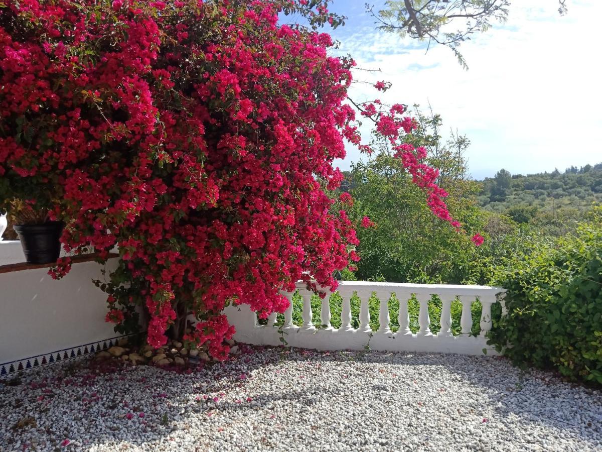 Finca Rayo Del Sol Alhaurín el Grande Exterior foto